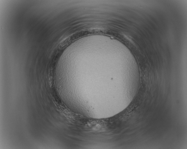 X0000063441015200602031736