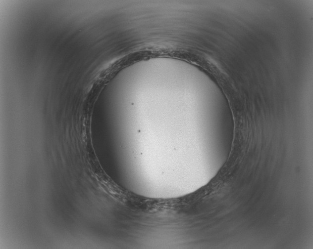 X0000063441016200602031736
