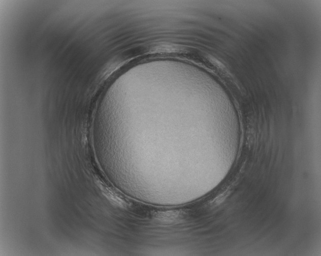 X0000063441017200602031736