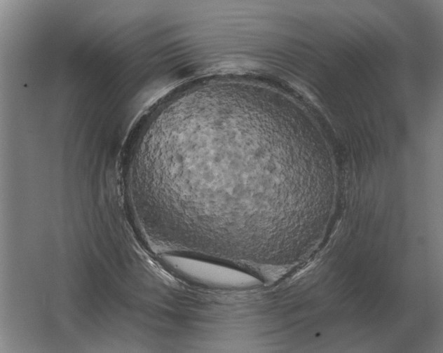 X0000063441018200602031736