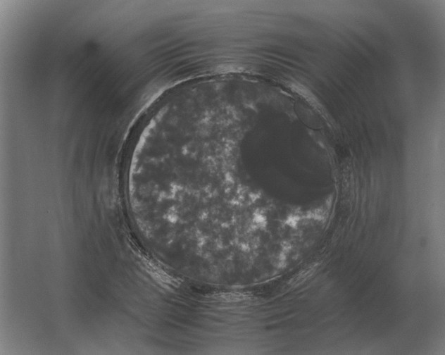 X0000063441023200602031736