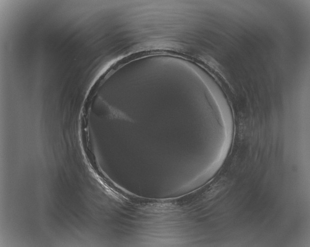 X0000063441024200602031736