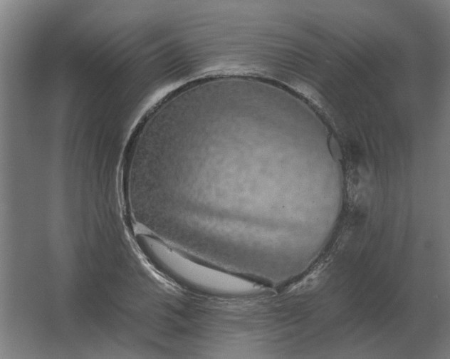 X0000063441030200602031736