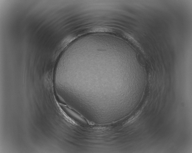 X0000063441033200602031736