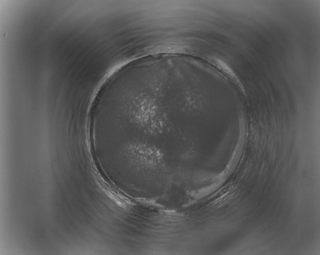 X0000063441035200602031736