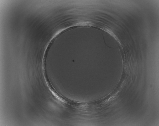 X0000063441037200602031736