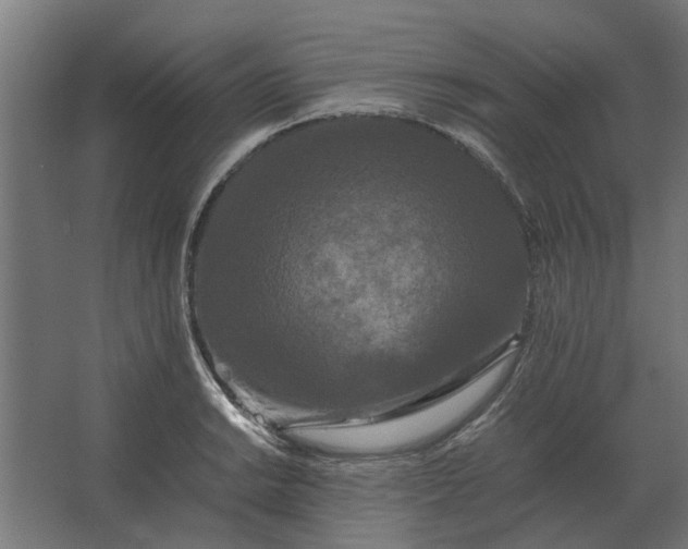 X0000063441038200602031736