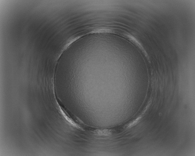 X0000063441041200602031736