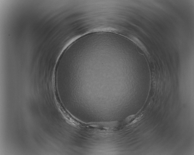 X0000063441044200602031736
