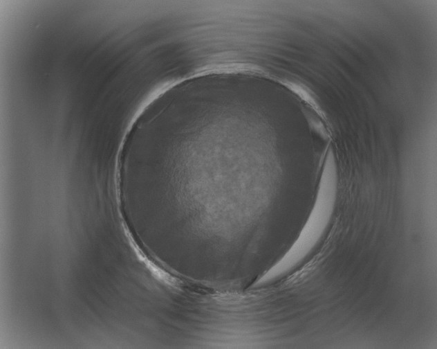 X0000063441046200602031736