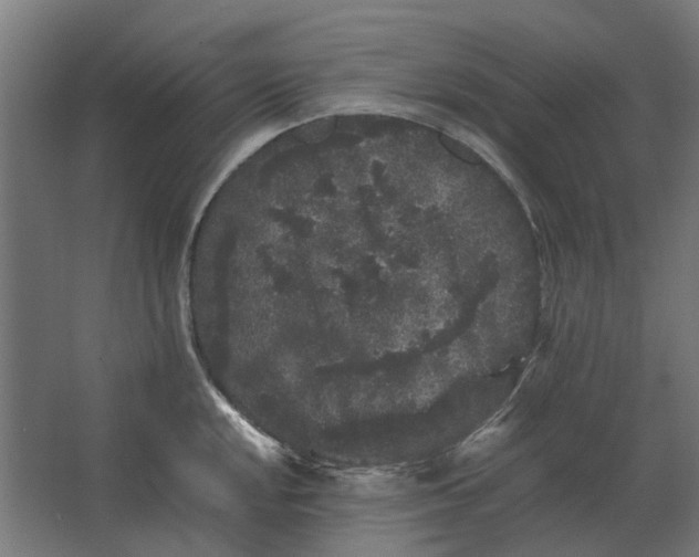 X0000063441048200602031736