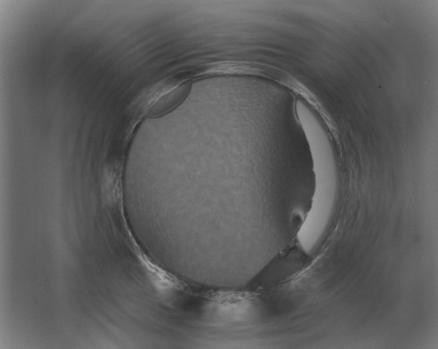 X0000063441049200602031736