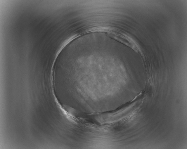 X0000063441050200602031736