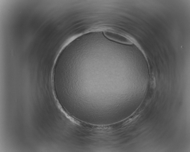 X0000063441053200602031736