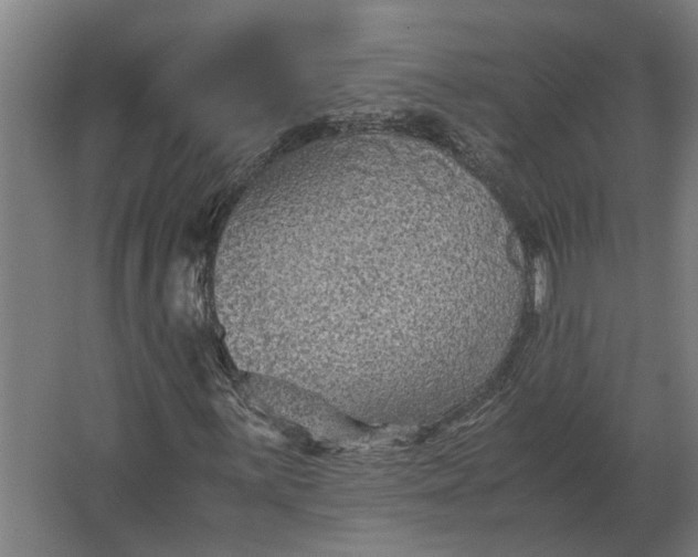 X0000063441059200602031735
