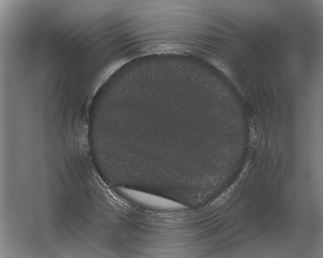 X0000063441066200602031735