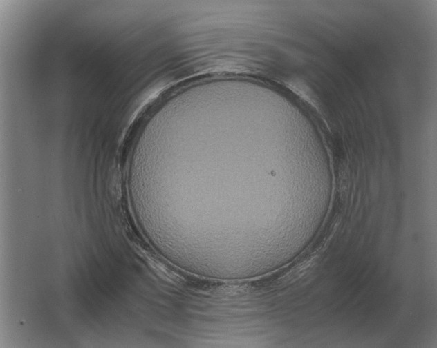 X0000063441067200602031735