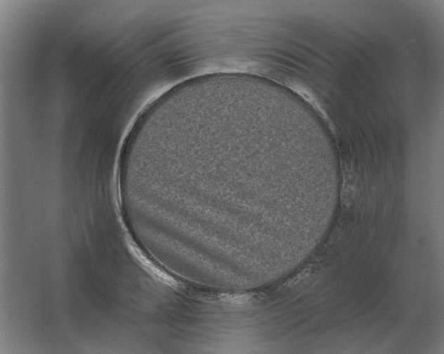 X0000063441080200602031735