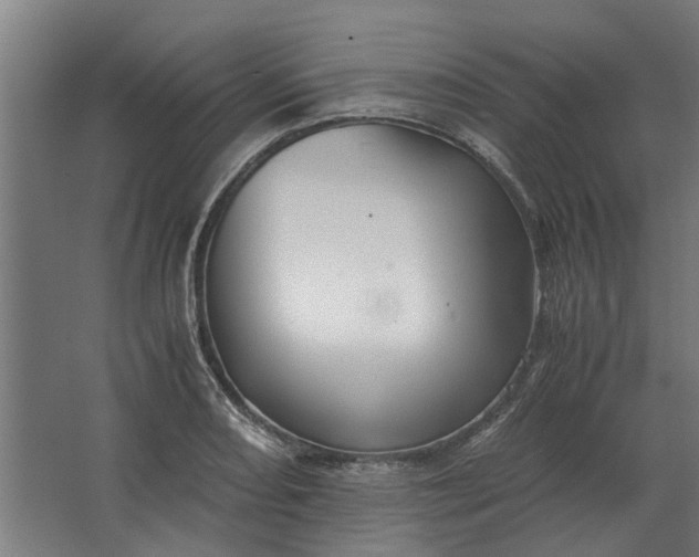 X0000063441082200602031735