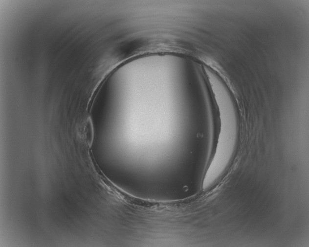 X0000063441089200602031735