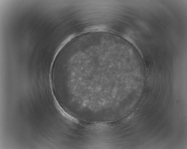X0000063441090200602031735