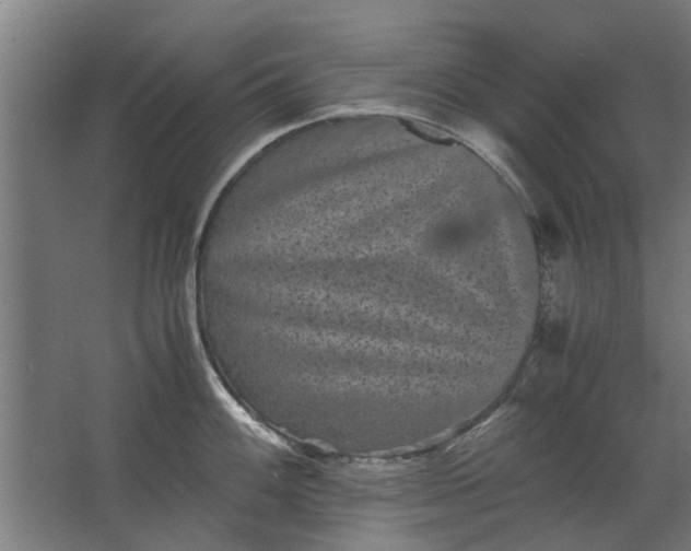 X0000063441100200602031735