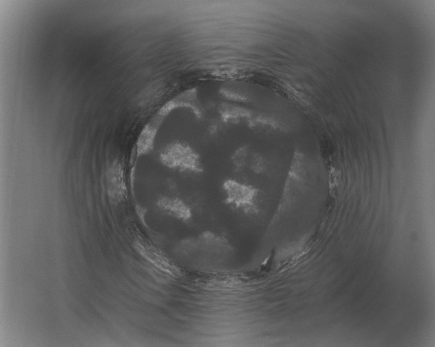 X0000063441106200602031734