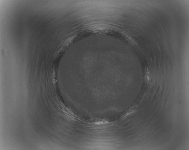 X0000063441108200602031734