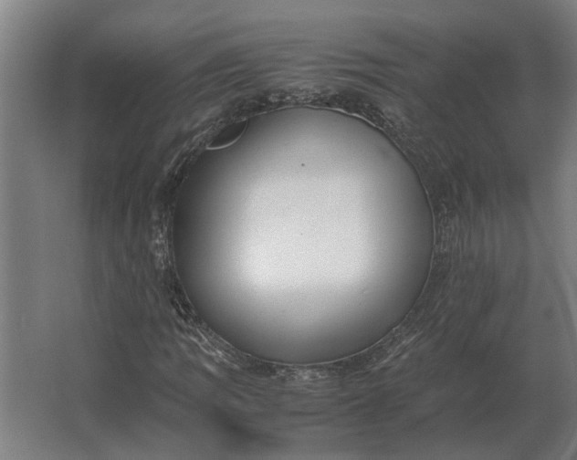 X0000063441109200602031734