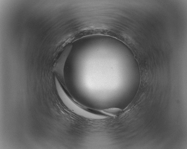 X0000063441110200602031734