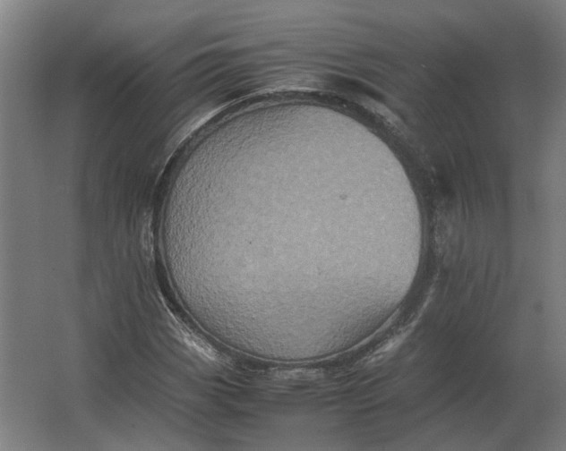 X0000063441113200602031734