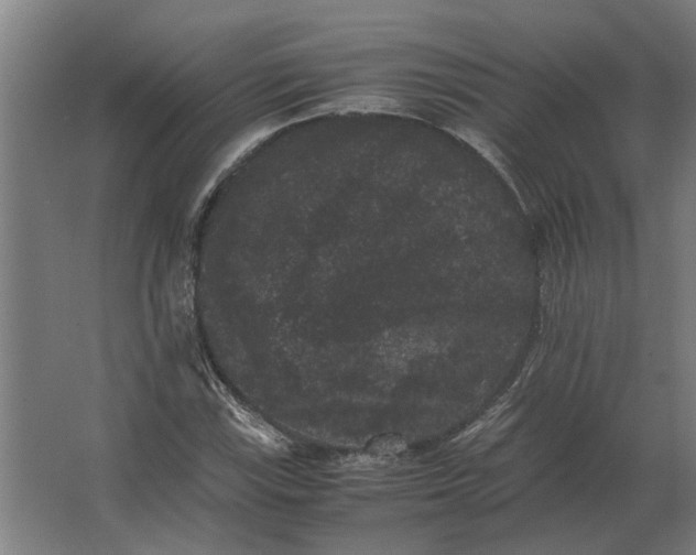 X0000063441115200602031734