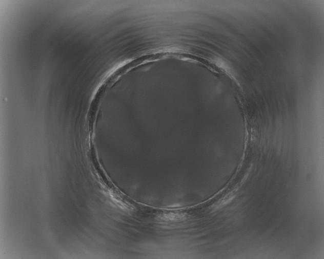 X0000063441117200602031734