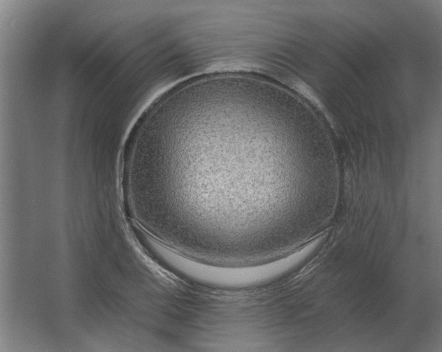 X0000063441124200602031734
