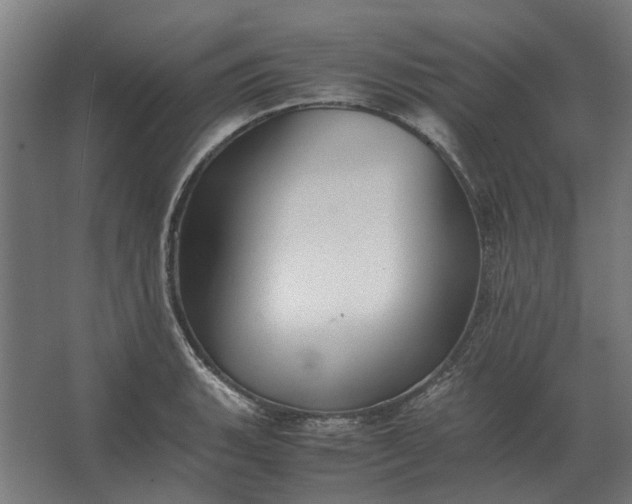 X0000063441135200602031734