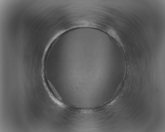 X0000063441136200602031734