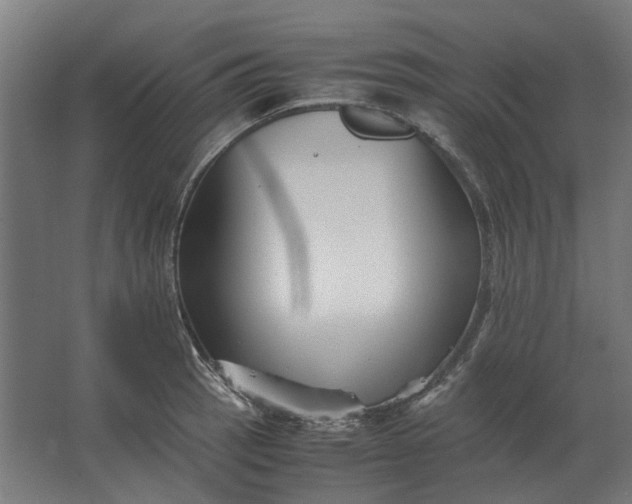 X0000063441137200602031734