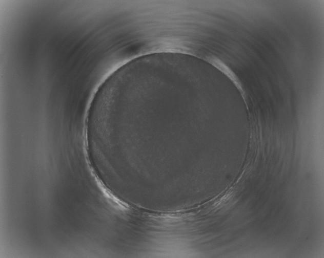 X0000063441144200602031735