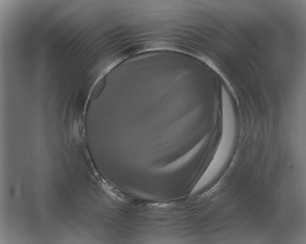 X0000063441145200602031735