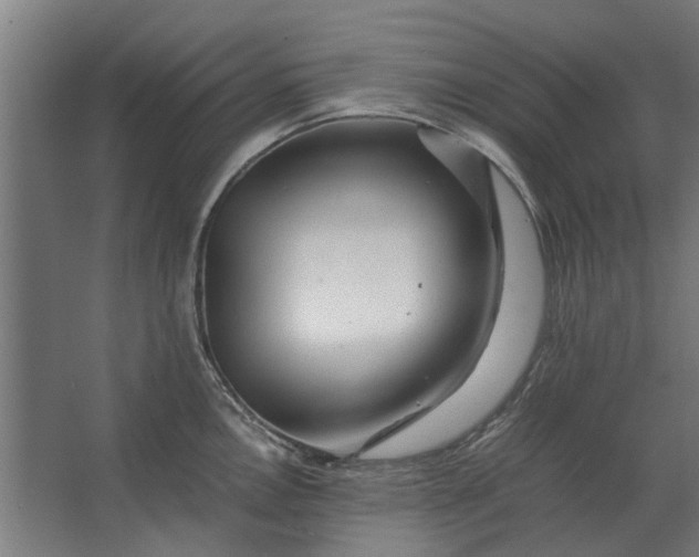 X0000063441146200602031735