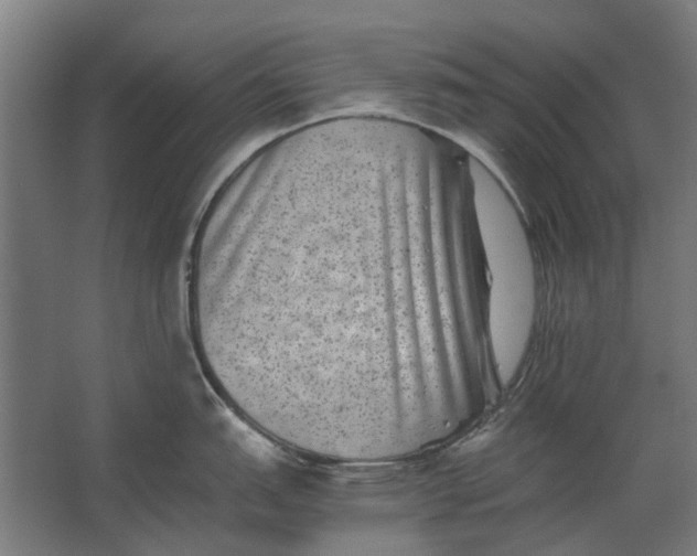 X0000063441151200602031735