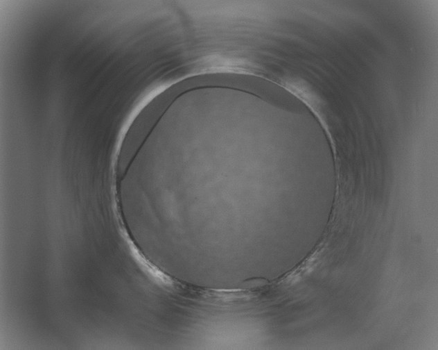 X0000063441152200602031735