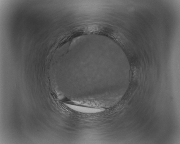 X0000063441153200602031734