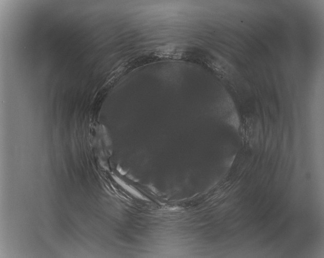 X0000063441154200602031734