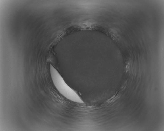 X0000063441156200602031734