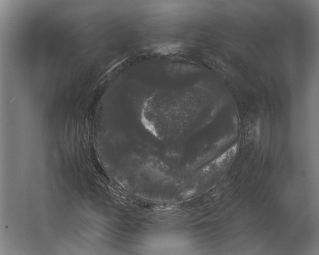 X0000063441158200602031734