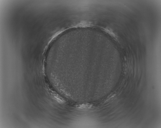 X0000063441160200602031734