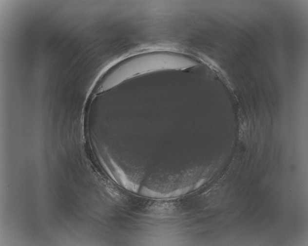 X0000063441174200602031734