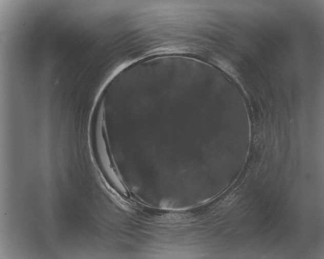 X0000063441179200602031733