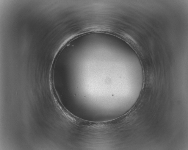X0000063441182200602031733